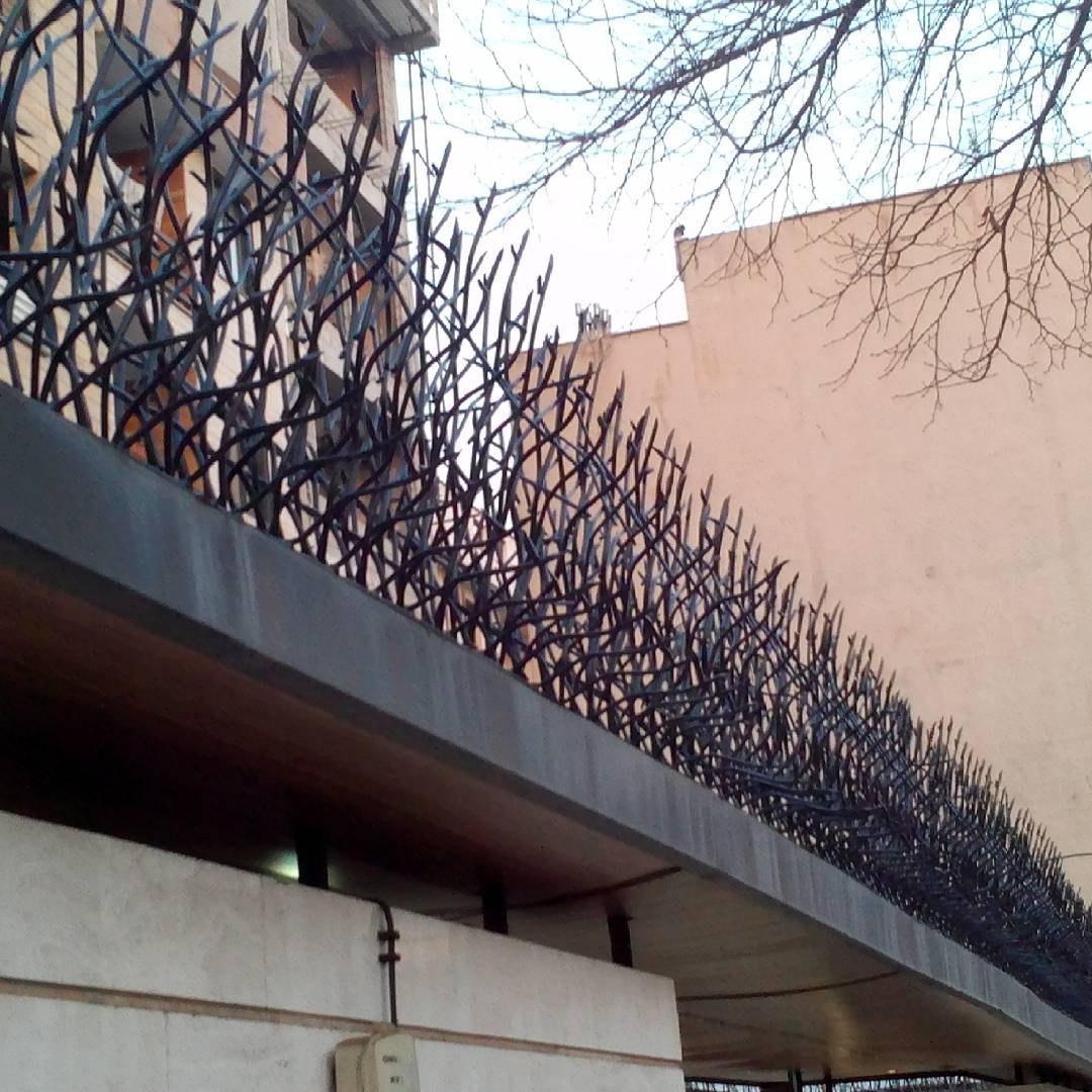 حفاظ شاخ گوزنی