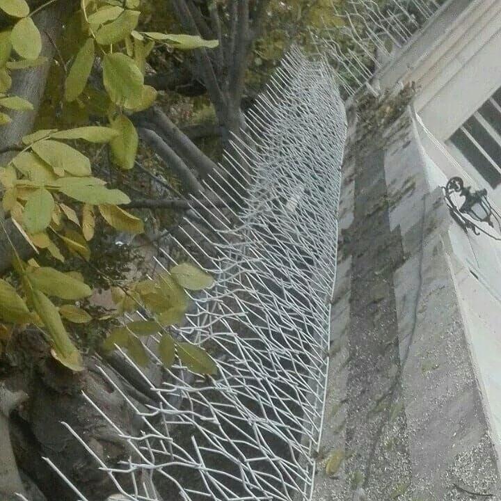 مراحل ساخت حفاظ شاخ گوزنی