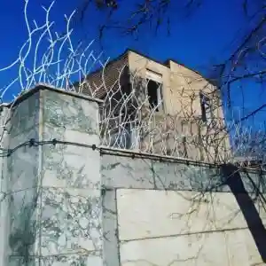 حفاظ شاخ گوزنی تراکم 40