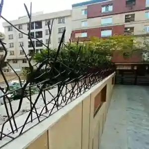 خرید حفاظ شاخ گوزنی