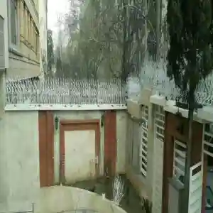 هزینه تولید و نصب شاخ گوزنی