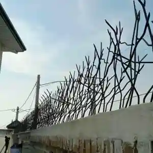 حفاظ شاخ کوزنی چیست