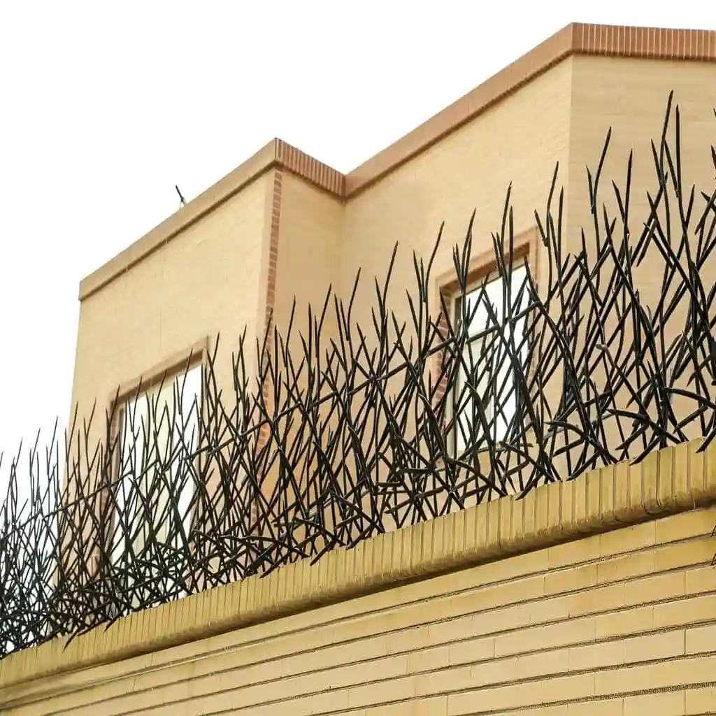 حفاظ شاخ گوزنی