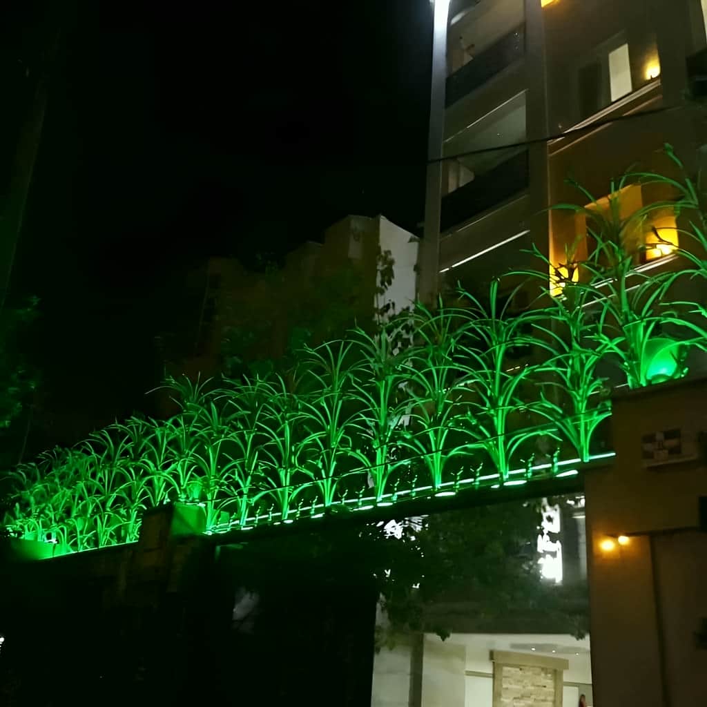 خرید حفاظ لیلیوم