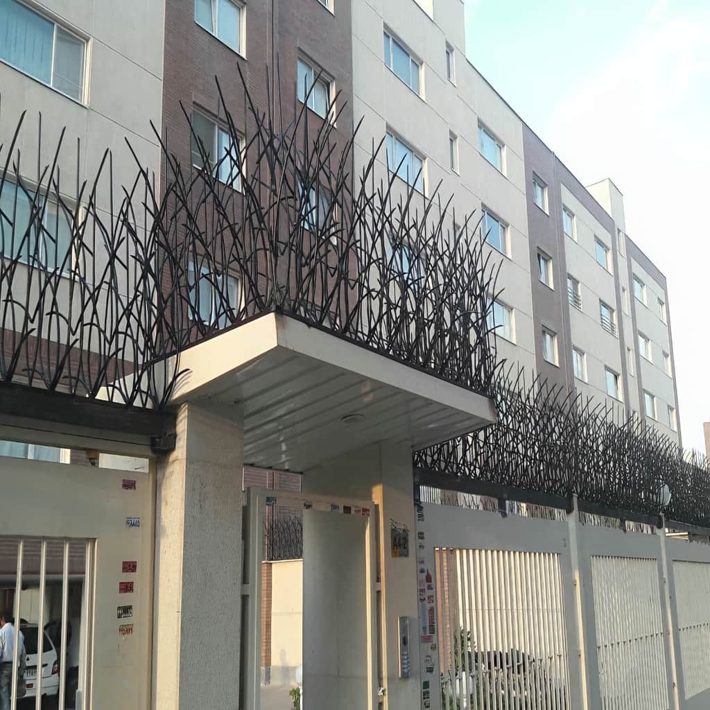 خرید حفاظ نیزار