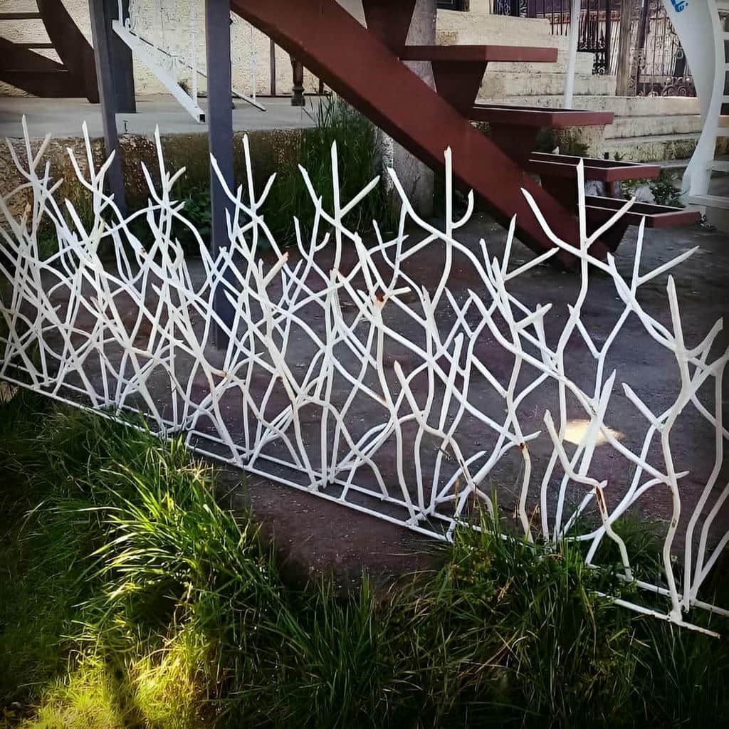 حفاظ شاخ گوزنی در رفسنجان
