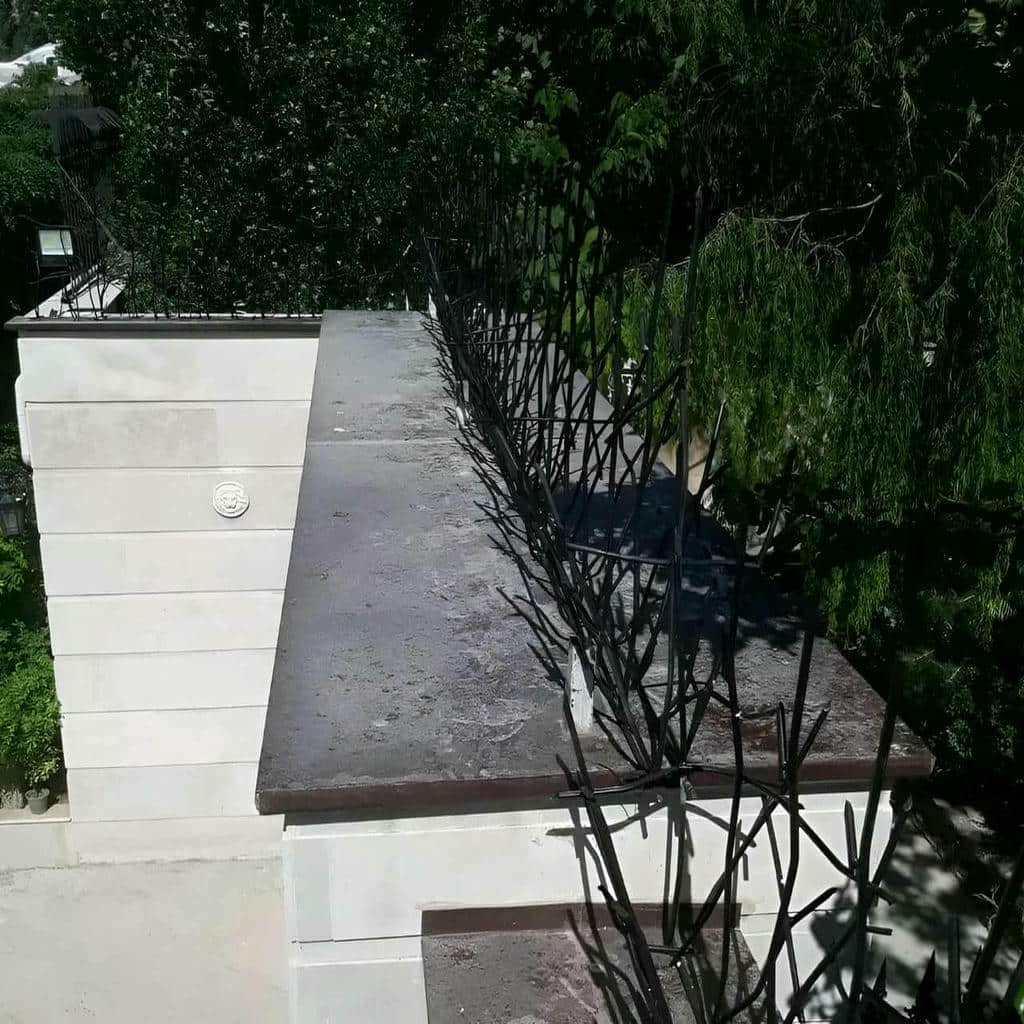 کارخانه حفاظ شاخ گوزنی تراکم شاخه در پرند