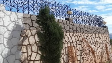حفاظ شاخ گوزنی در خرم آباد