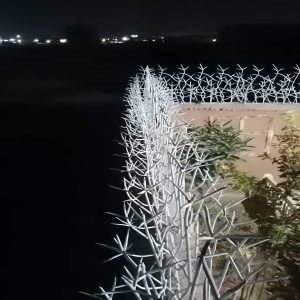 حفاظ شاخ گوزنی در اصفهان
