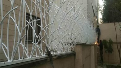 حفاظ شاخ گوزنی در کرمان