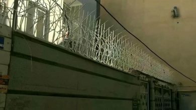 حفاظ شاخ گوزنی در قشم