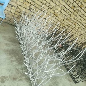 حفاظ شاخ گوزنی در ملارد
