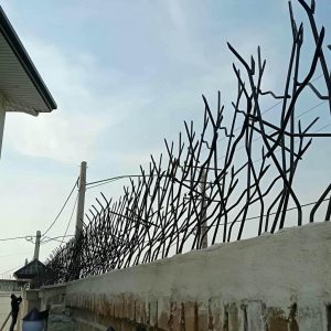 حفاظ شاخ گوزنی در بیرجند