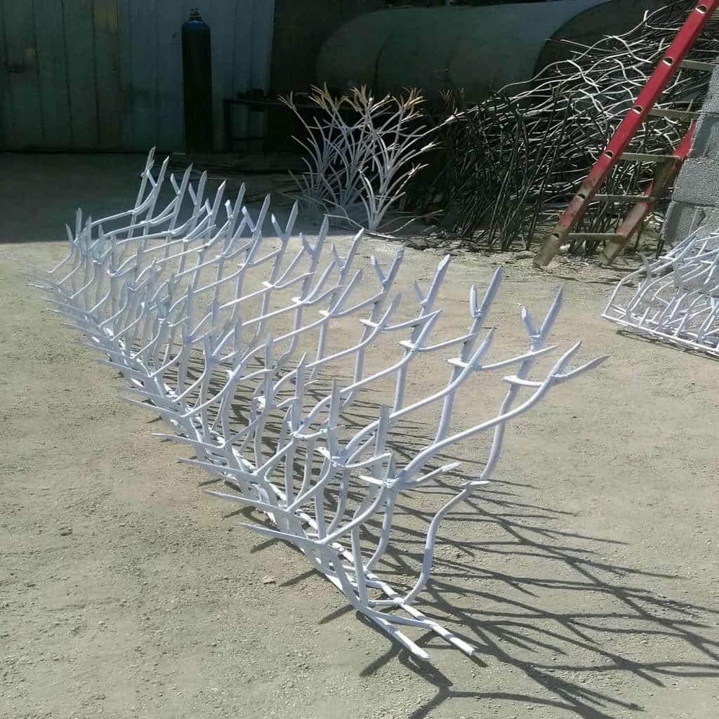 کارخانه حفاظ شاخ گوزنی کنترل کیفیت در اصفهان