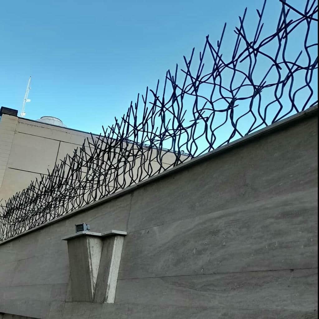 فروش حفاظ شاخ گوزنی تراکم شاخه در مریوان
