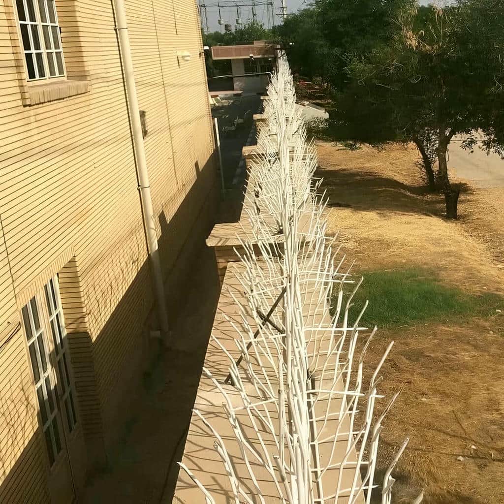 فروش حفاظ شاخ گوزنی رنگ مقاوم در پرند