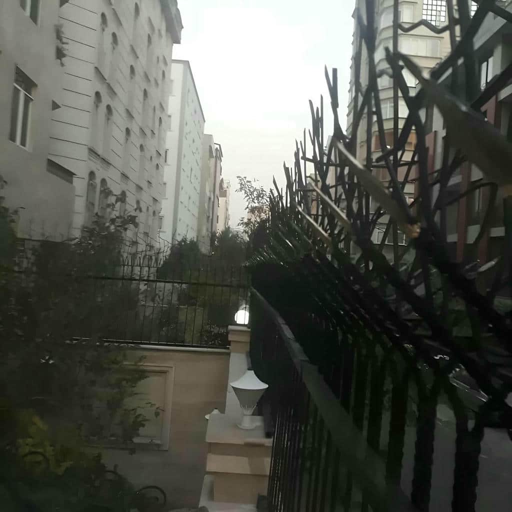 حفاظ شاخ گوزنی در فیروزکوه