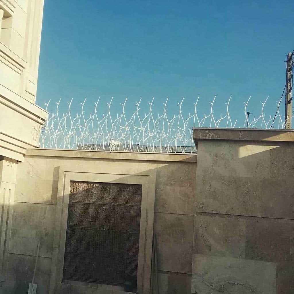 حفاظ شاخ گوزنی در مهرشهر کرج