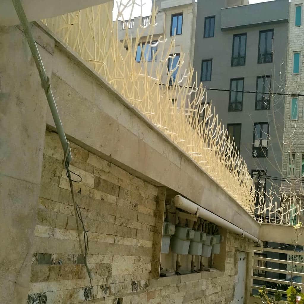 کارخانه حفاظ شاخ گوزنی پوشش ضدزنگ در بیرجند