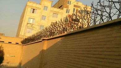 حفاظ شاخ گوزنی در استان گیلان