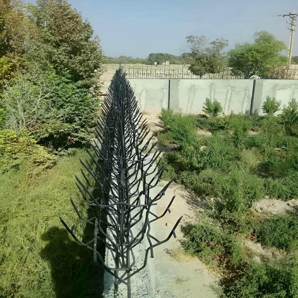 حفاظ شاخ گوزنی در کرج