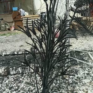 حفاظ شاخ گوزنی در سبزوار