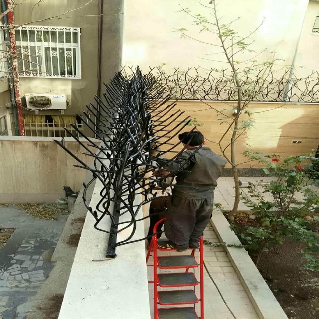 حفاظ شاخ گوزنی در نسیم شهر