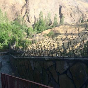 حفاظ شاخ گوزنی در بجنورد