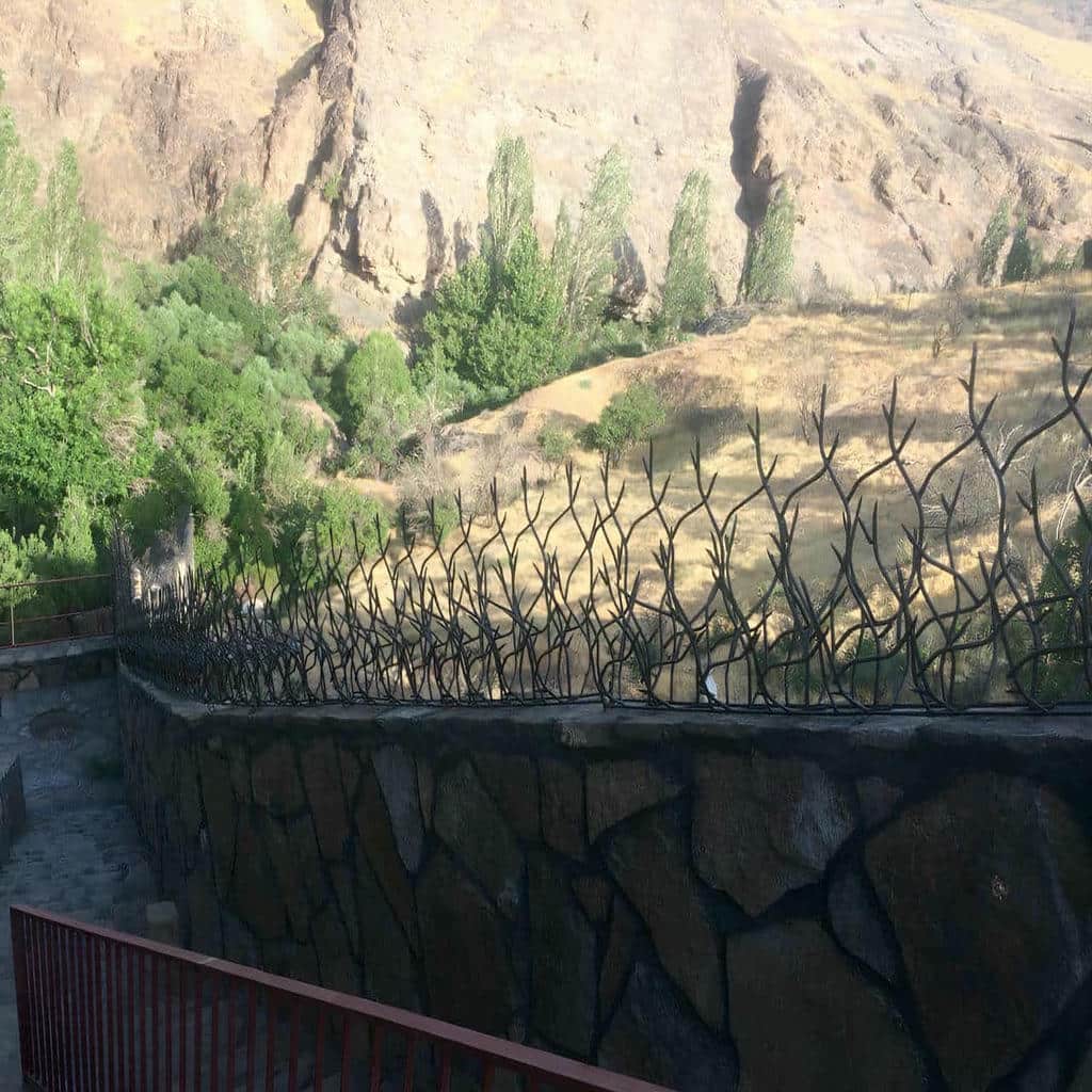 حفاظ شاخ گوزنی در بجنورد