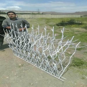 حفاظ شاخ گوزنی در بابل