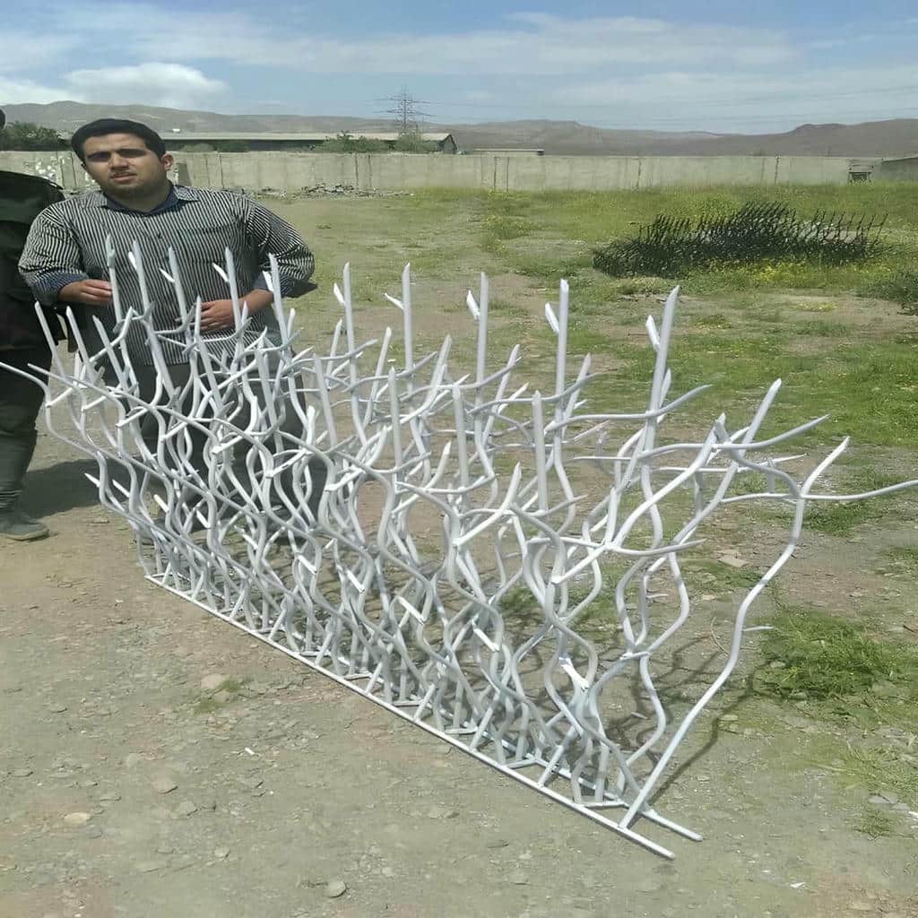 حفاظ شاخ گوزنی در بابل