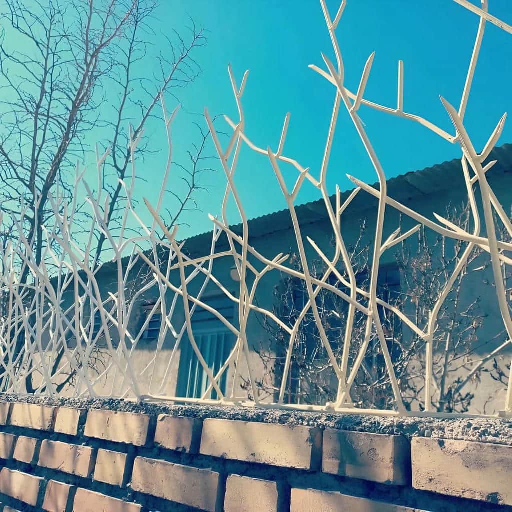 حفاظ شاخ گوزنی در فشم