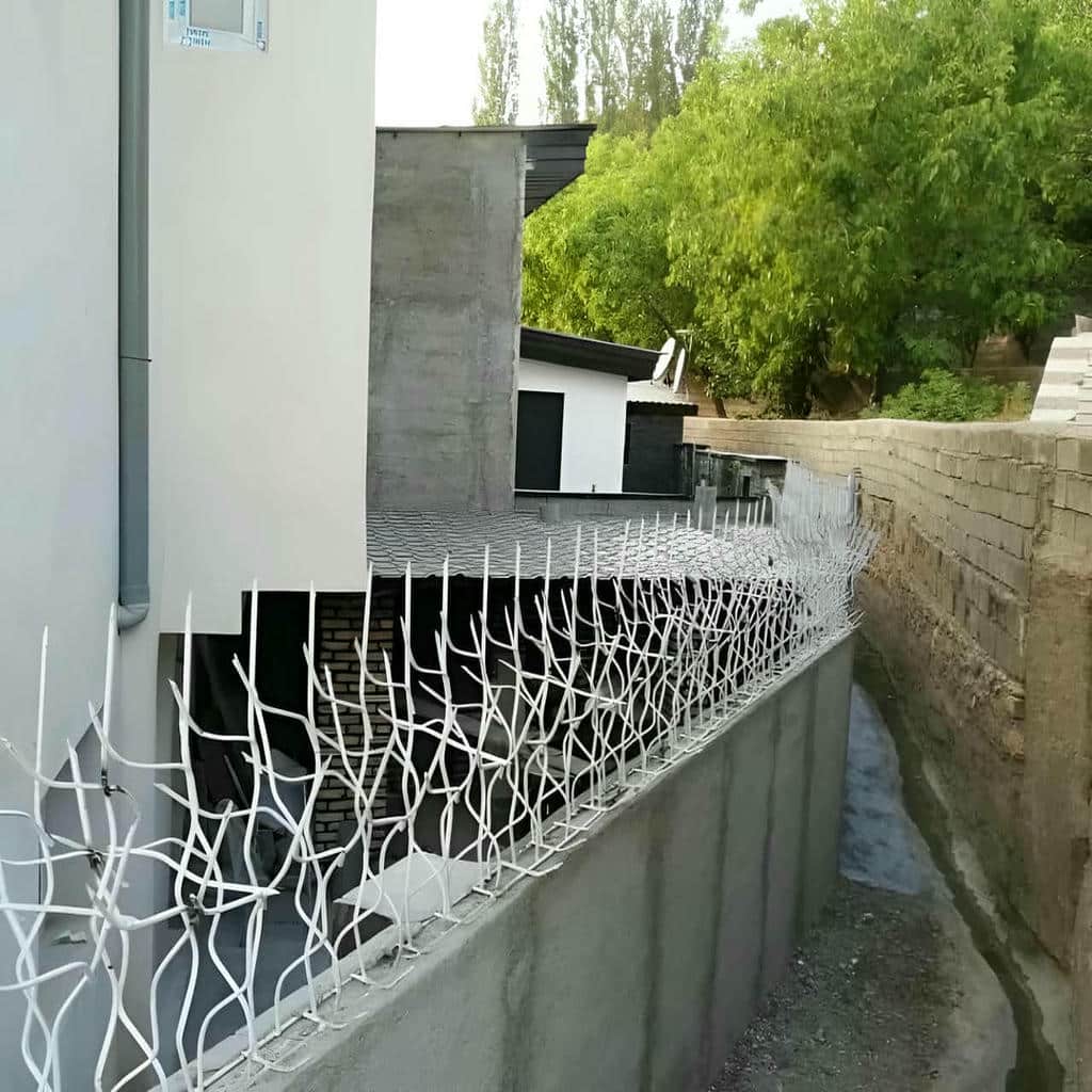 کارخانه حفاظ شاخ گوزنی کنترل کیفیت در کرمانشاه