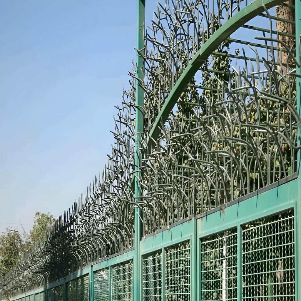 نصب حفاظ شاخ گوزنی اتصال پایدار در بندر دیلم