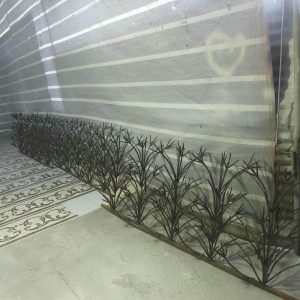 حفاظ شاخ گوزنی در اهواز
