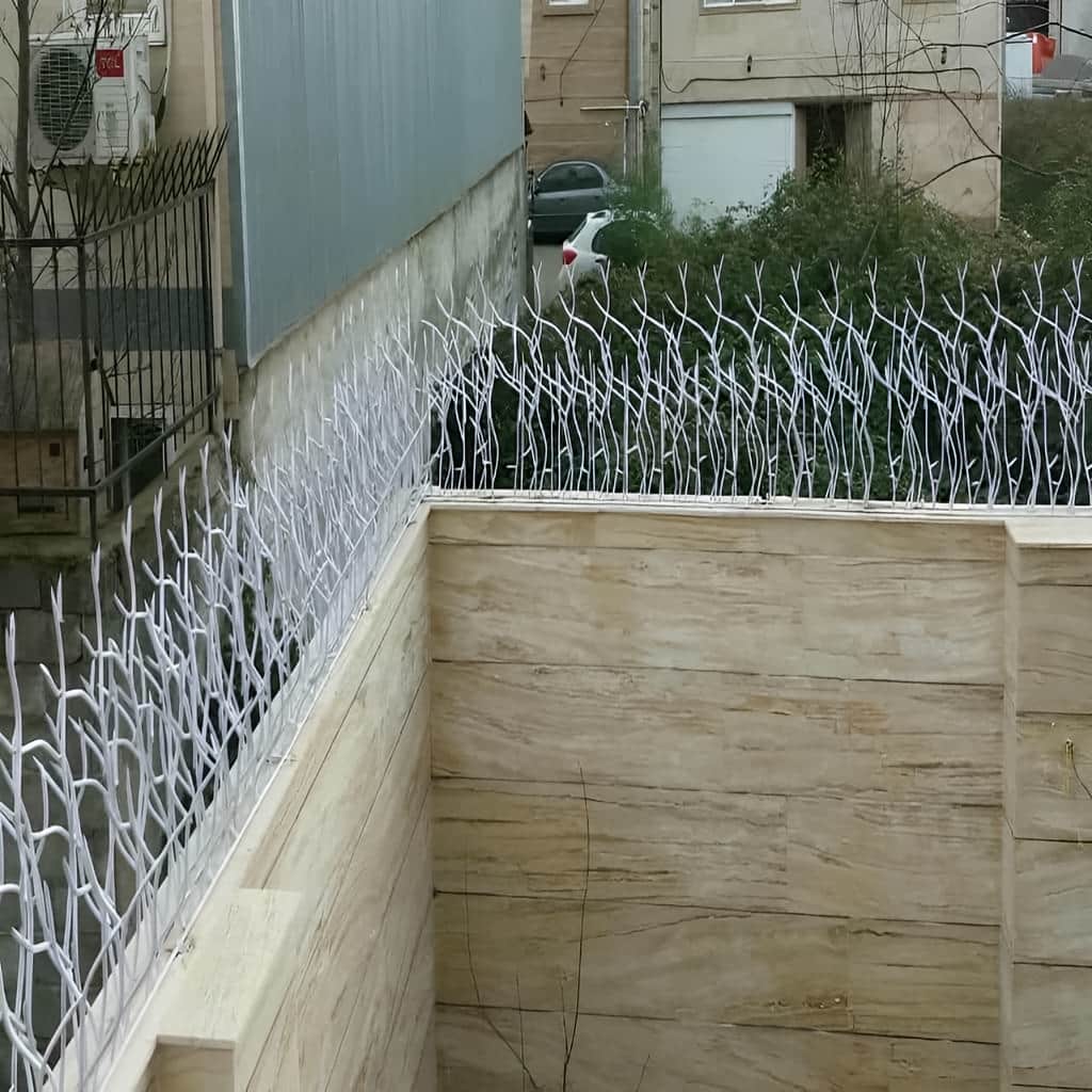 حفاظ شاخ گوزنی با ارتفاع مناسب دیوار