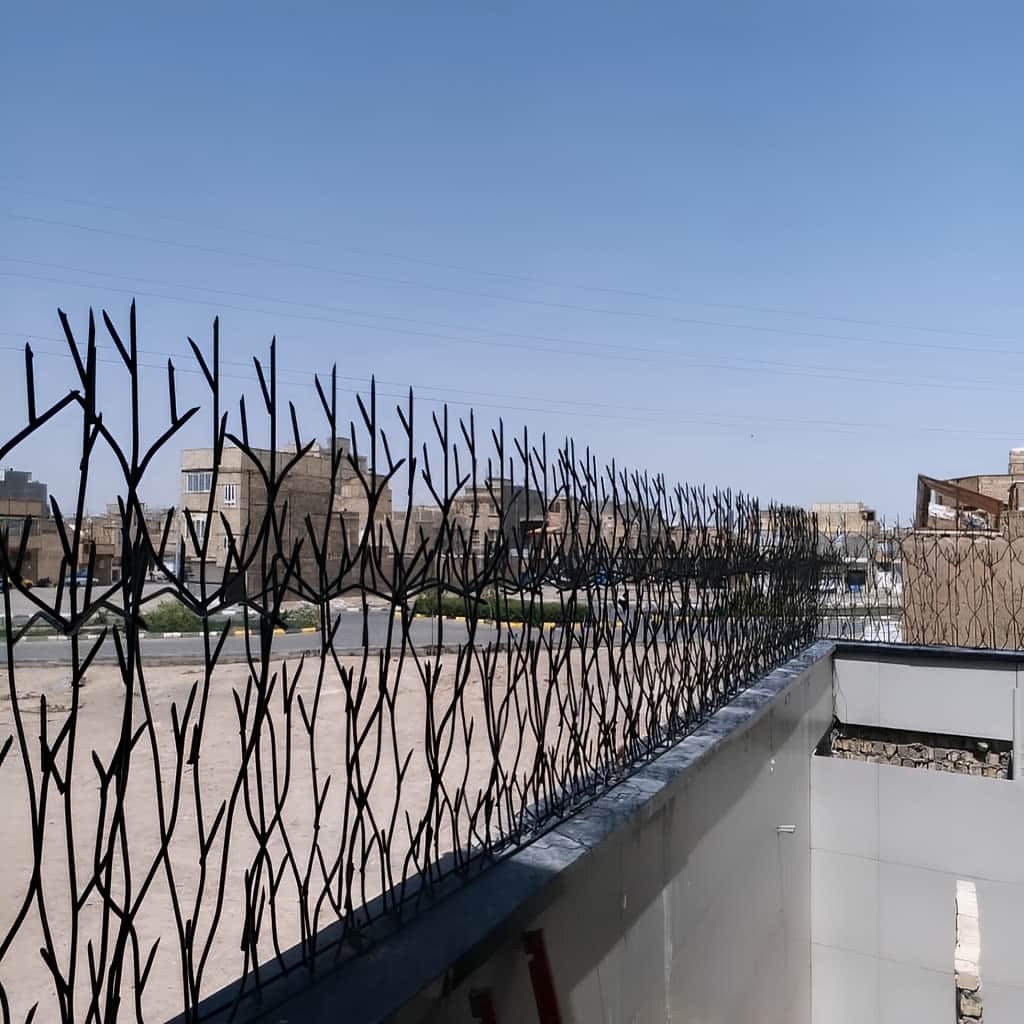 حفاظ شاخ گوزنی نصب شده روی دیوار