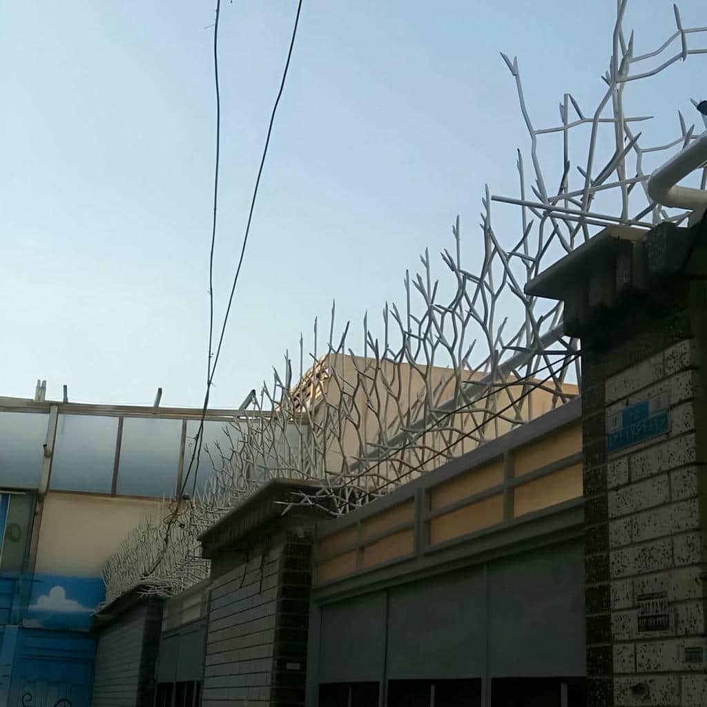 حفاظ شاخ گوزنی با برش تمیز شاخه ها
