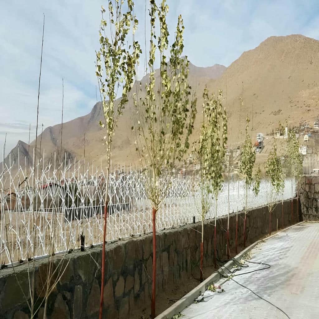 حفاظ شاخ گوزنی با میلگرد مقاوم