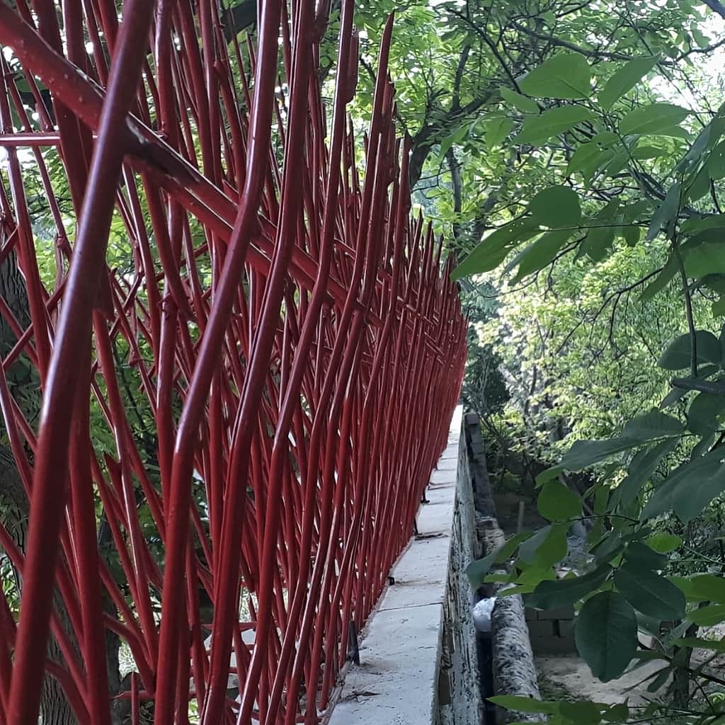 تفاوت مدل بوته ای و لیلیوم حفاظ دیوار حیاط