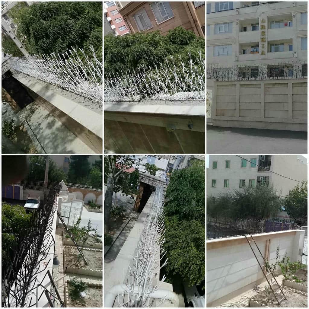 مقایسه طرح متراکم و بلند حفاظ شاخ گوزنی دیوار باغ ویلا