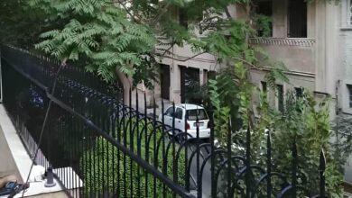 10 مدل حفاظ سرنیزه ای دیوار حیاط