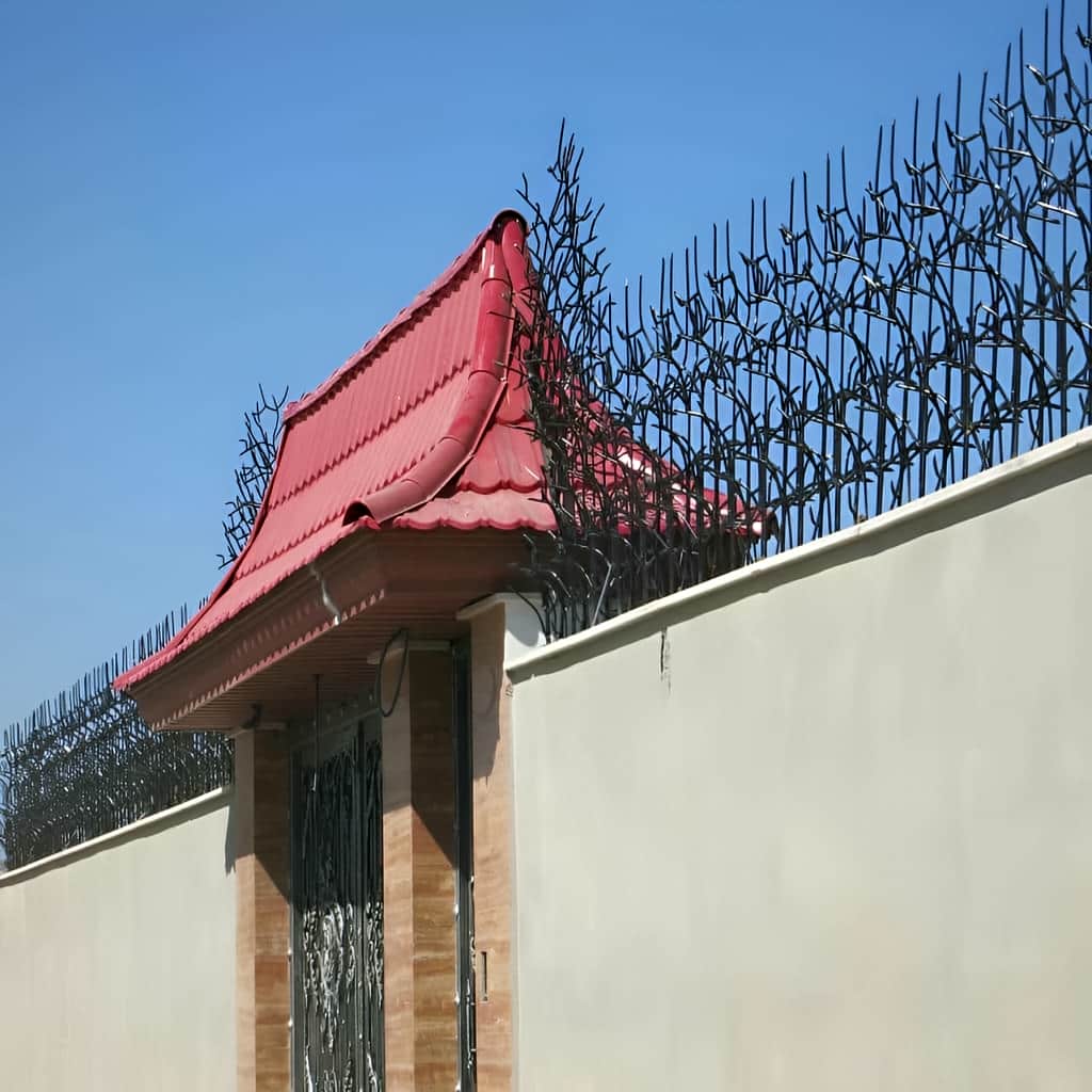 حفاظ شاخ گوزنی دیوار
