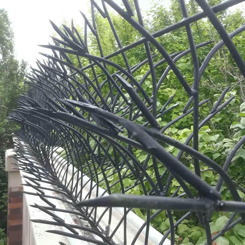حفاظ دیوار شاخ گوزنی