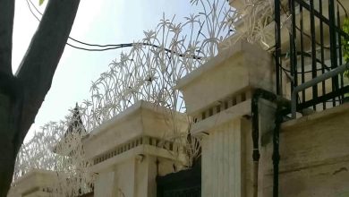 حفاظ نخل مرداب فلزی دیوار
