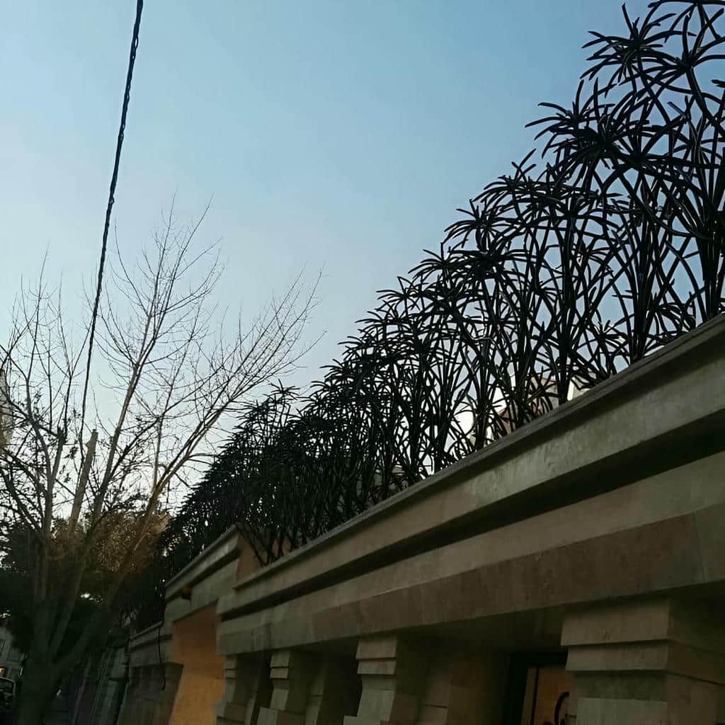 حفاظ نخل مرداب شاخه ای