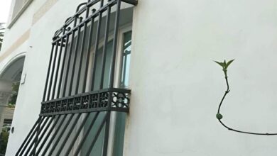 حفاظ پنجره سفید پذیرش درمانگاه زاهدان